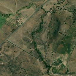 Viçosa map(satellite map)