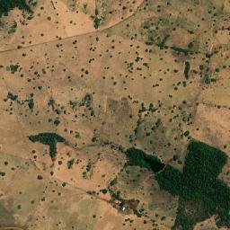 Miranorte map(satellite map)