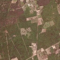 Campo Alegre de Lourdes map(satellite map)