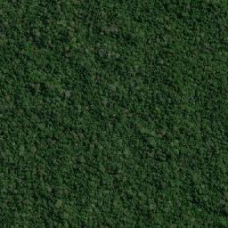 Provincia de Coronel Portillo map(satellite map)