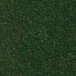 Cotriguaçu map(satellite map)