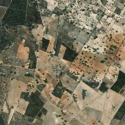 Olho d'Água das Flores map(satellite map)