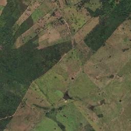 Coité do Nóia map(satellite map)