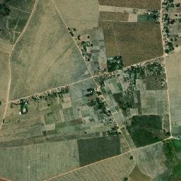 Limoeiro de Anadia map(satellite map)