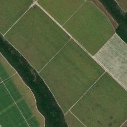 Teotônio Vilela map(satellite map)
