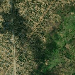 Mingoyo map(satellite map)