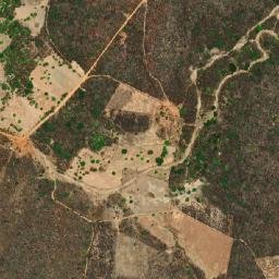 Avelino Lopes map(satellite map)