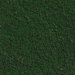 Rondolândia map(satellite map)
