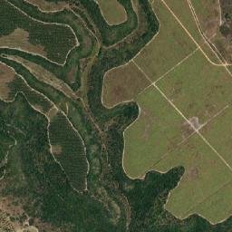 Neópolis map(satellite map)