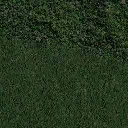 Purus map(satellite map)