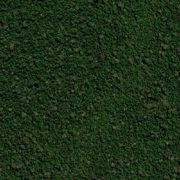Provincia Abuná map(satellite map)