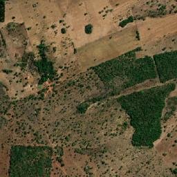 Nova Rosalândia map(satellite map)