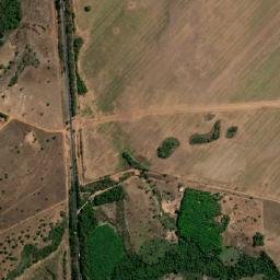Oliveira de Fátima map(satellite map)