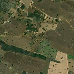 Simão Dias map(satellite map)