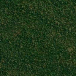 Assis Brasil map(satellite map)