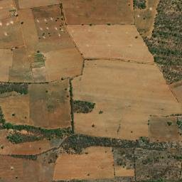 Central map(satellite map)
