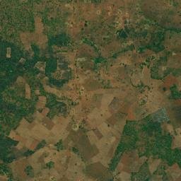 Tingi map(satellite map)