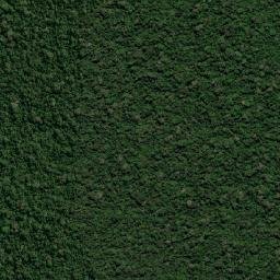 Guajará-Mirim map(satellite map)