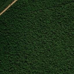 São Félix do Araguaia map(satellite map)