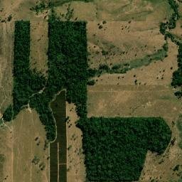 Novo Horizonte do Oeste map(satellite map)