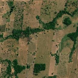 São Felipe d'Oeste map(satellite map)