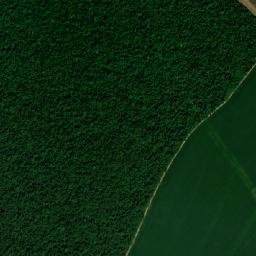 Santa Carmem map(satellite map)