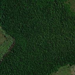 Seringueiras map(satellite map)