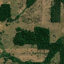 Primavera de Rondônia map(satellite map)