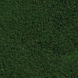 Vilhena map(satellite map)