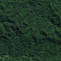 Pangoa map(satellite map)