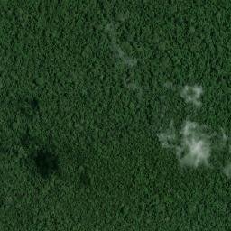 Provincia de Manú map(satellite map)