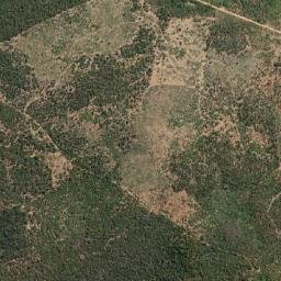 Wagner map(satellite map)