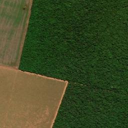 Bom Jesus do Araguaia map(satellite map)