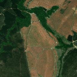 Itanagra map(satellite map)