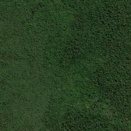 São Francisco do Guaporé map(satellite map)