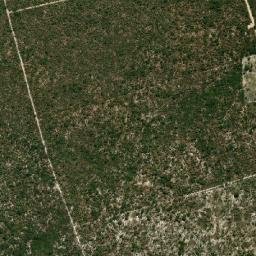 Baianópolis map(satellite map)