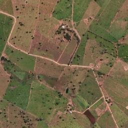 Combinado map(satellite map)