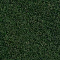 Corumbiara map(satellite map)