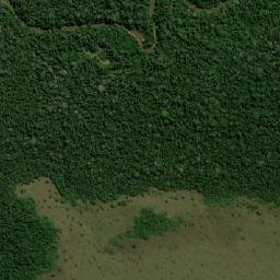 Provincia Iturralde map(satellite map)