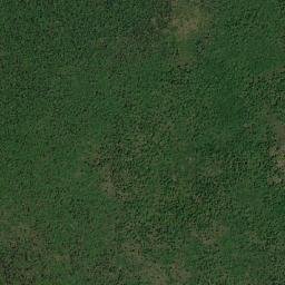 Pimenteiras do Oeste map(satellite map)