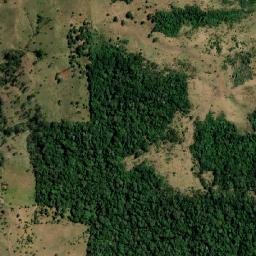 Colorado do Oeste map(satellite map)