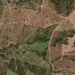 Monte Alegre de Goiás map(satellite map)