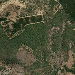 Planaltino map(satellite map)