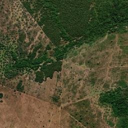 Bonópolis map(satellite map)