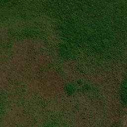 Campo Novo do Parecis map(satellite map)