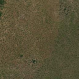 Cocalinho map(satellite map)