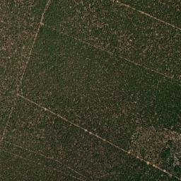Juvenília map(satellite map)