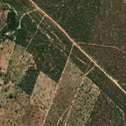 Damianópolis map(satellite map)