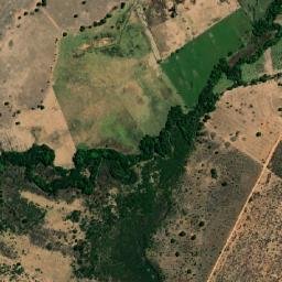 Manga map(satellite map)