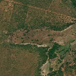 Miravânia map(satellite map)